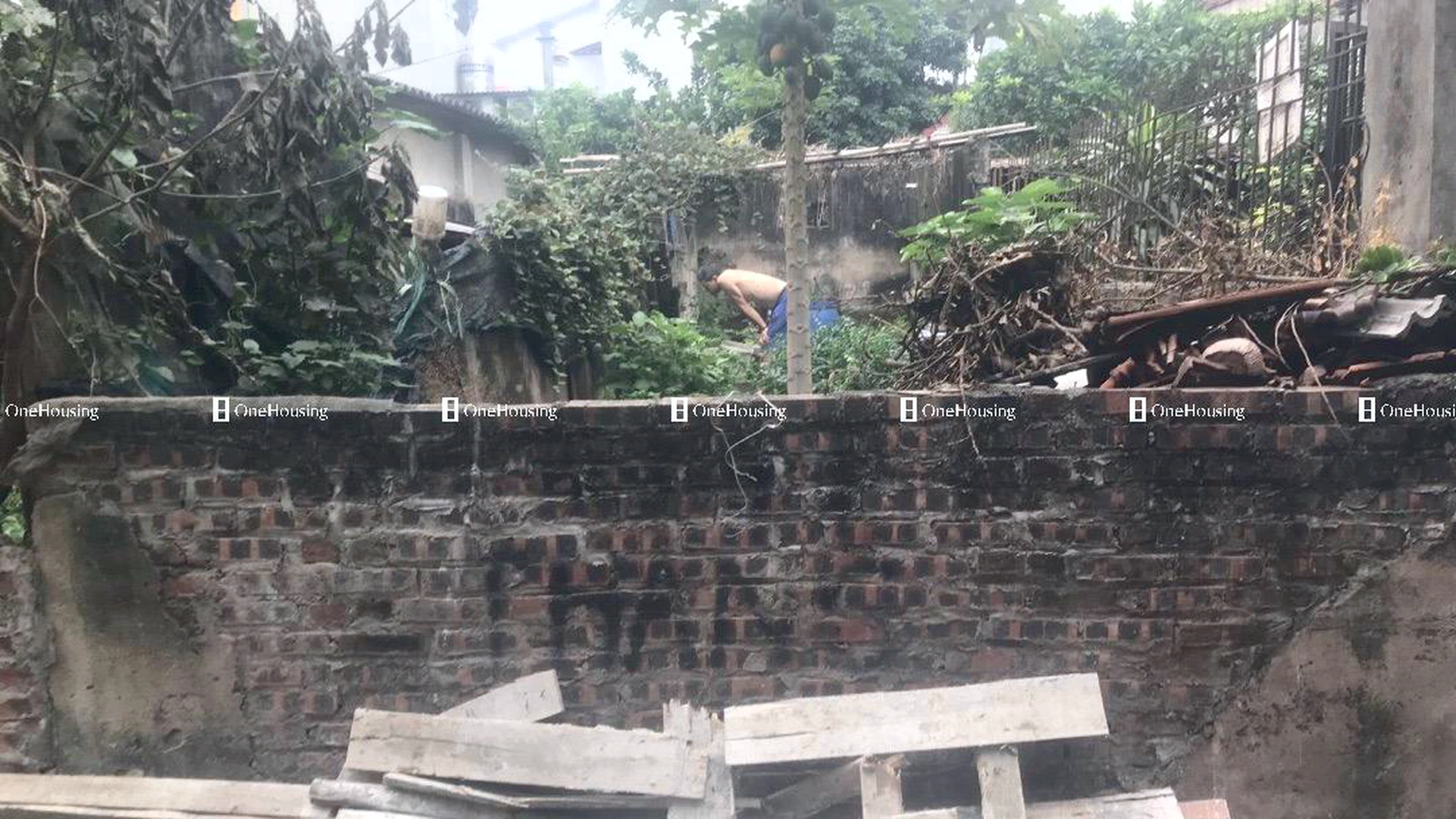 Đất nền cách Giang Biên 100m, P. Giang Biên, Q. Long Biên, TP. Hà Nội