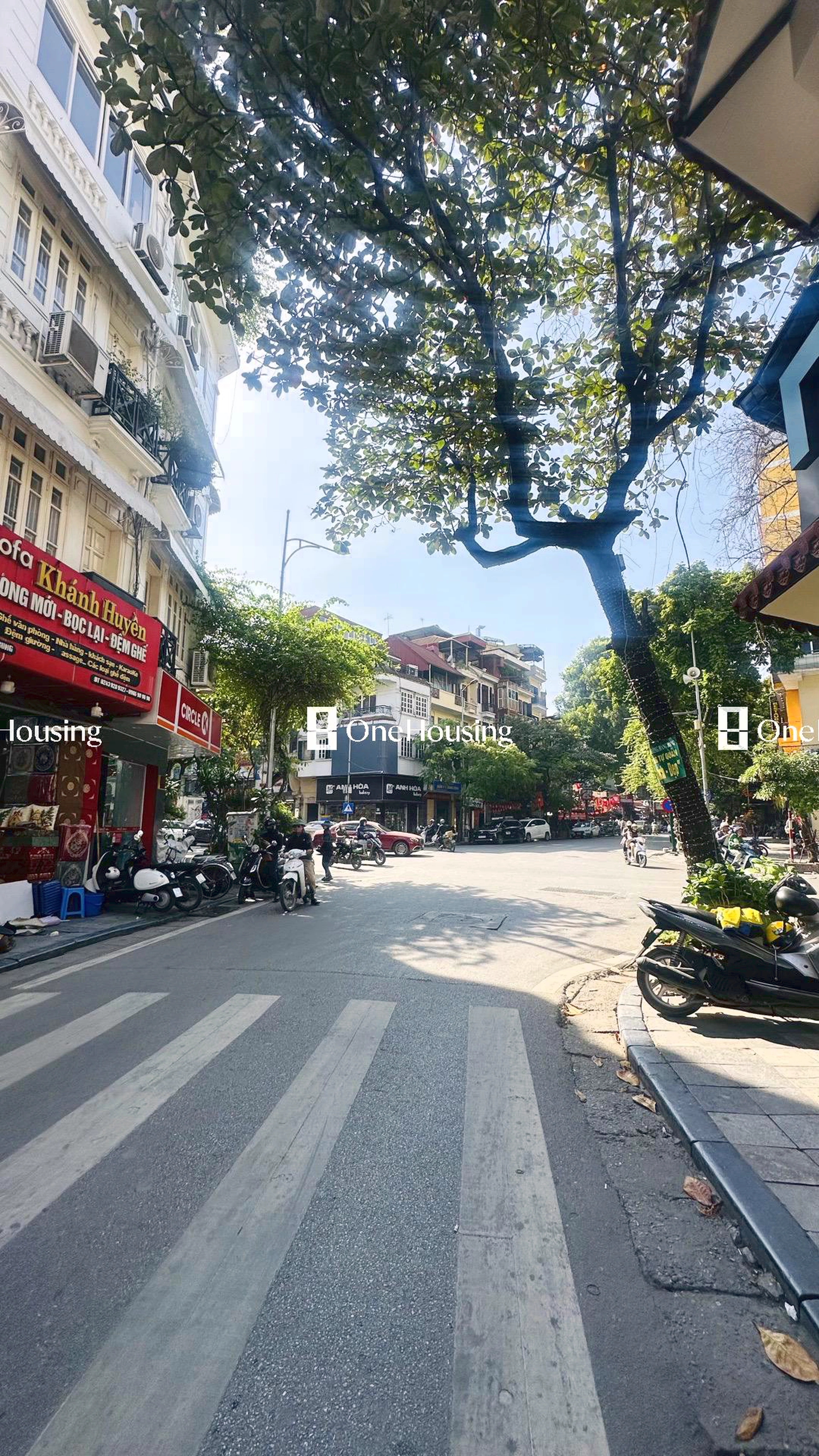 Nhà mặt phố Hà Trung, P. Hàng Bông, Q. Hoàn Kiếm, TP. Hà Nội