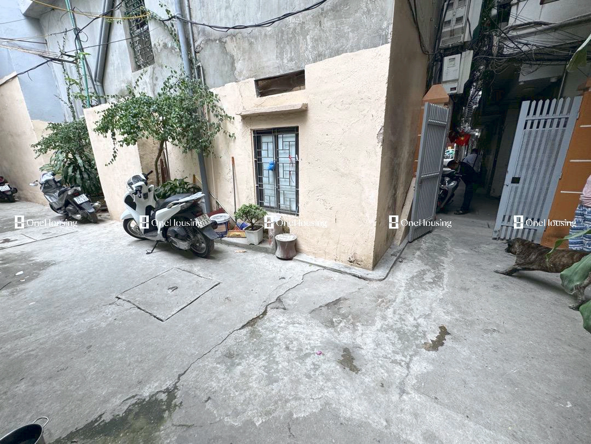 Nhà mặt ngõ cách Thành Công 20m, P. Giảng Võ, Q. Ba Đình, TP. Hà Nội