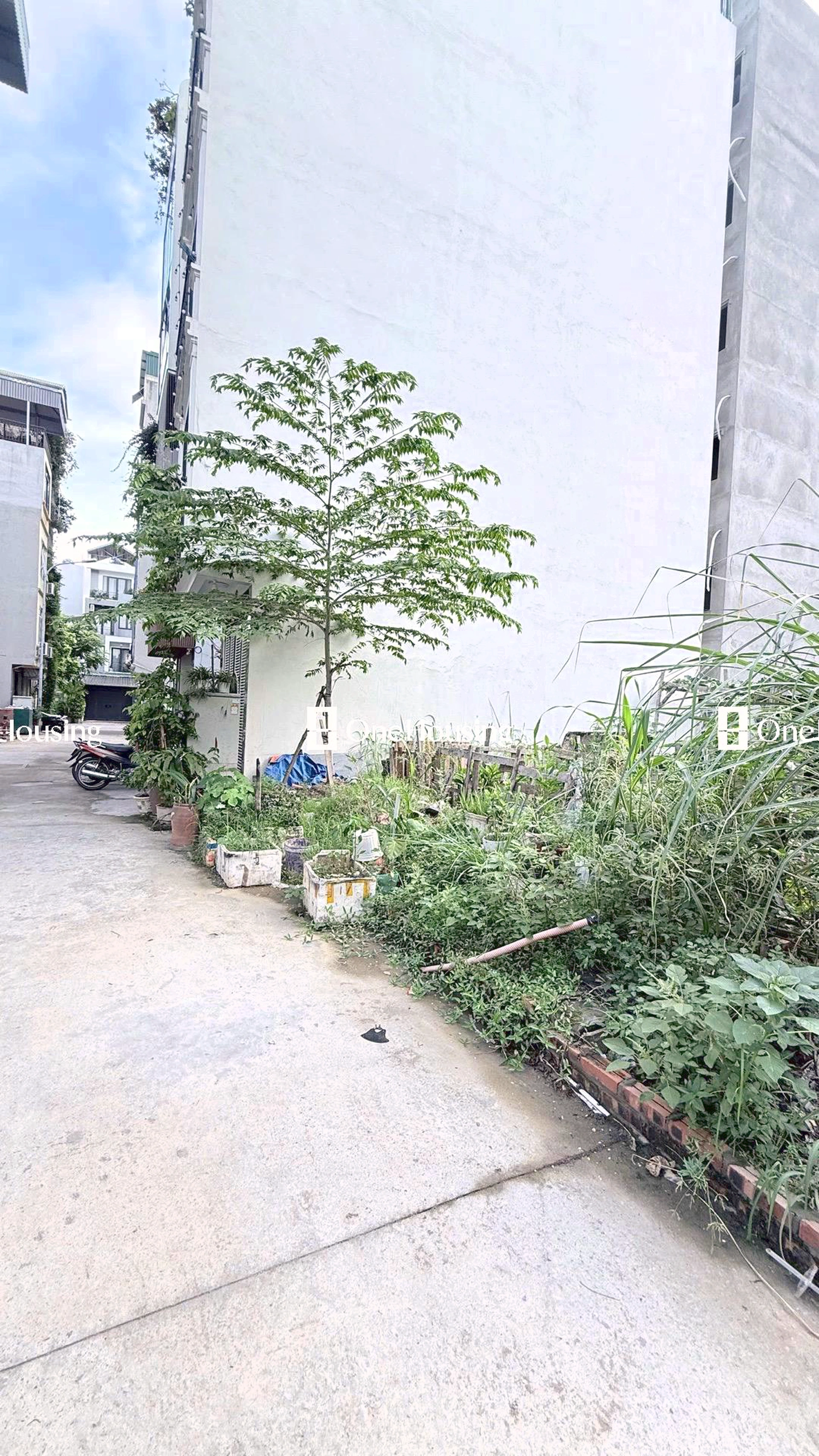 Đất nền cách Ngọc Thụy (mặt đê và đường gom chân đê) 50m, P. Bồ Đề, Q. Long Biên, TP. Hà Nội