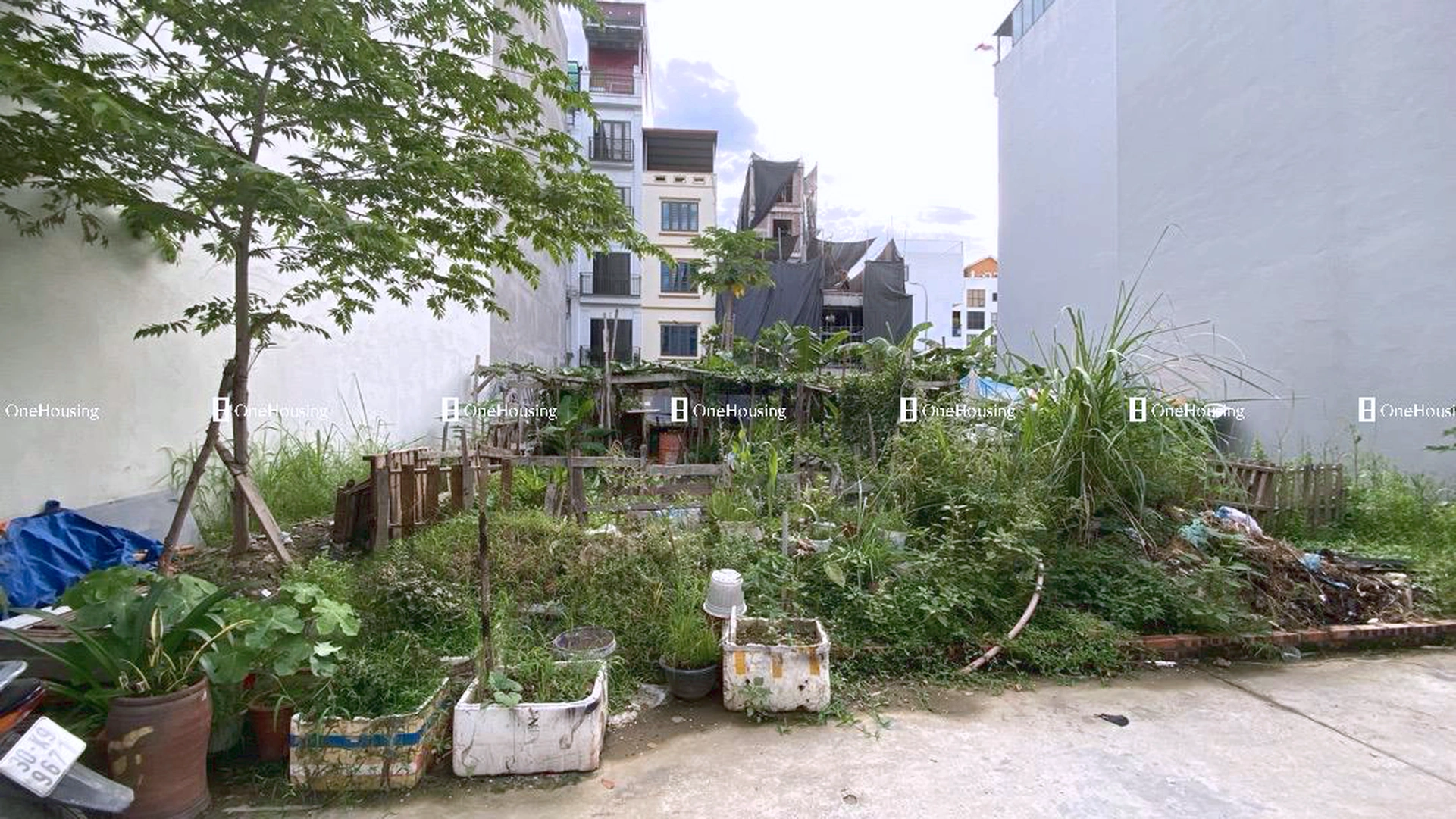 Đất nền cách Ngọc Thụy (mặt đê và đường gom chân đê) 50m, P. Bồ Đề, Q. Long Biên, TP. Hà Nội