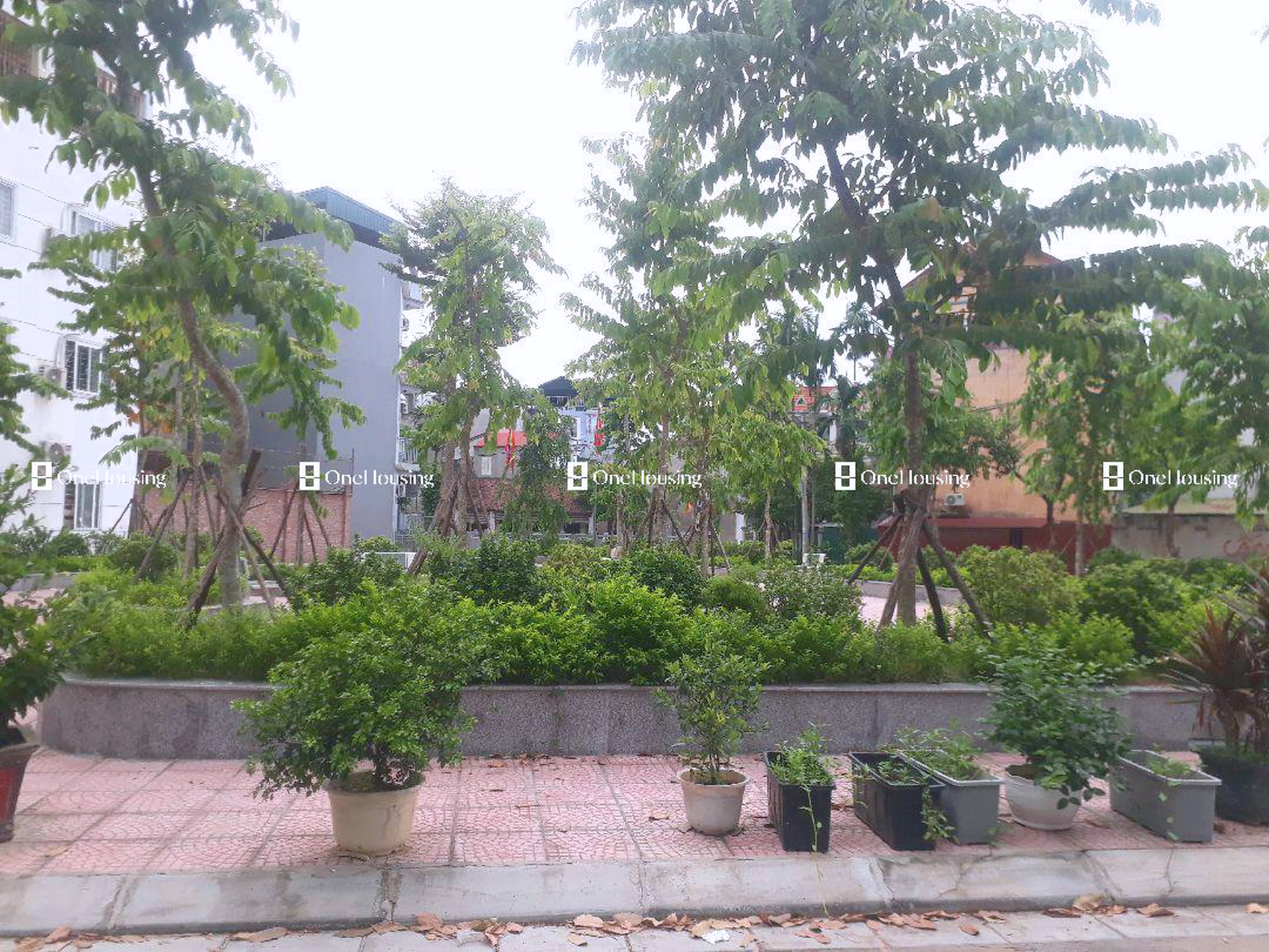 Đất nền cách Lê Trọng Tấn 200m, P. La Khê, Q. Hà Đông, TP. Hà Nội