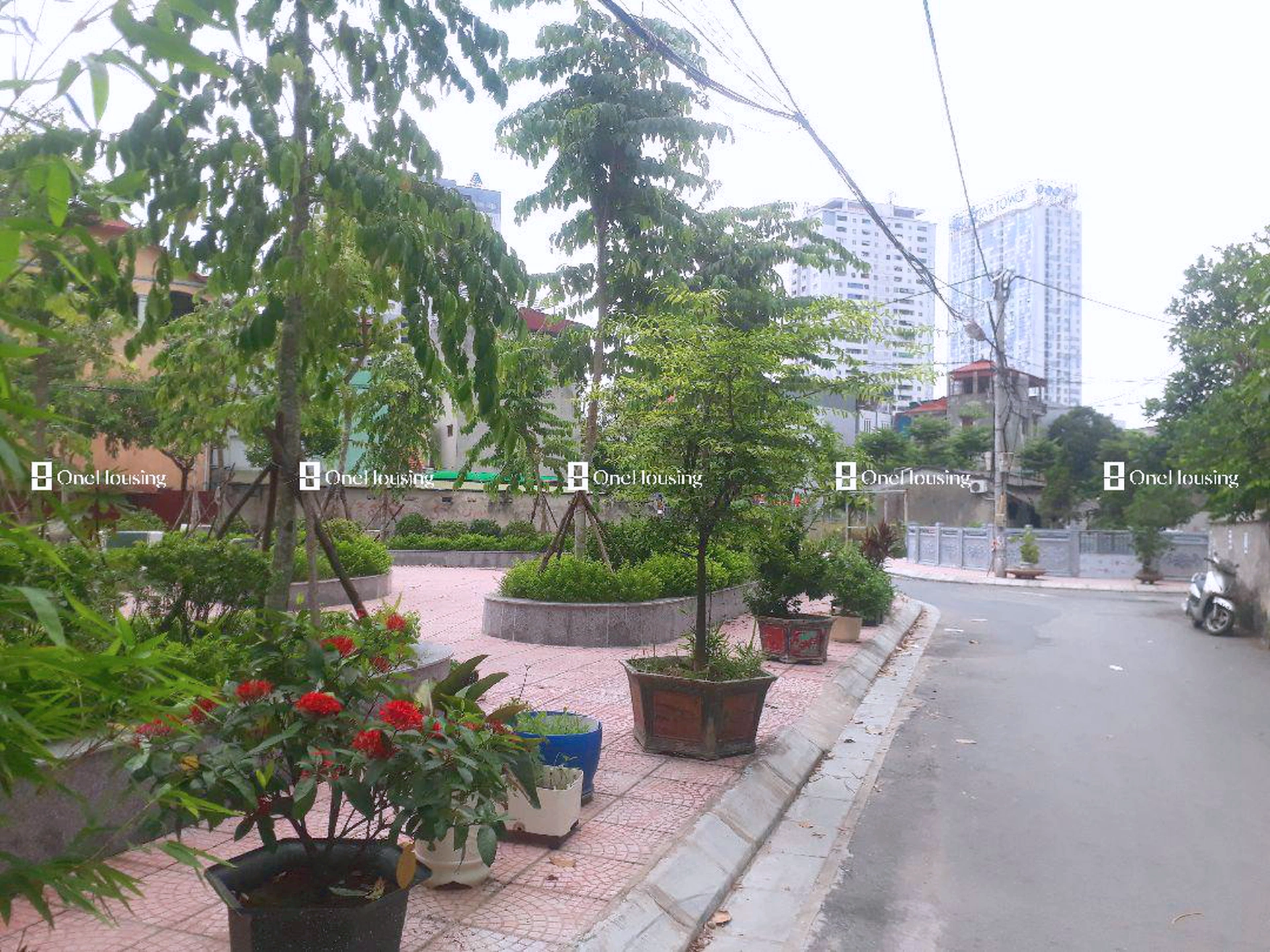Đất nền cách Lê Trọng Tấn 200m, P. La Khê, Q. Hà Đông, TP. Hà Nội
