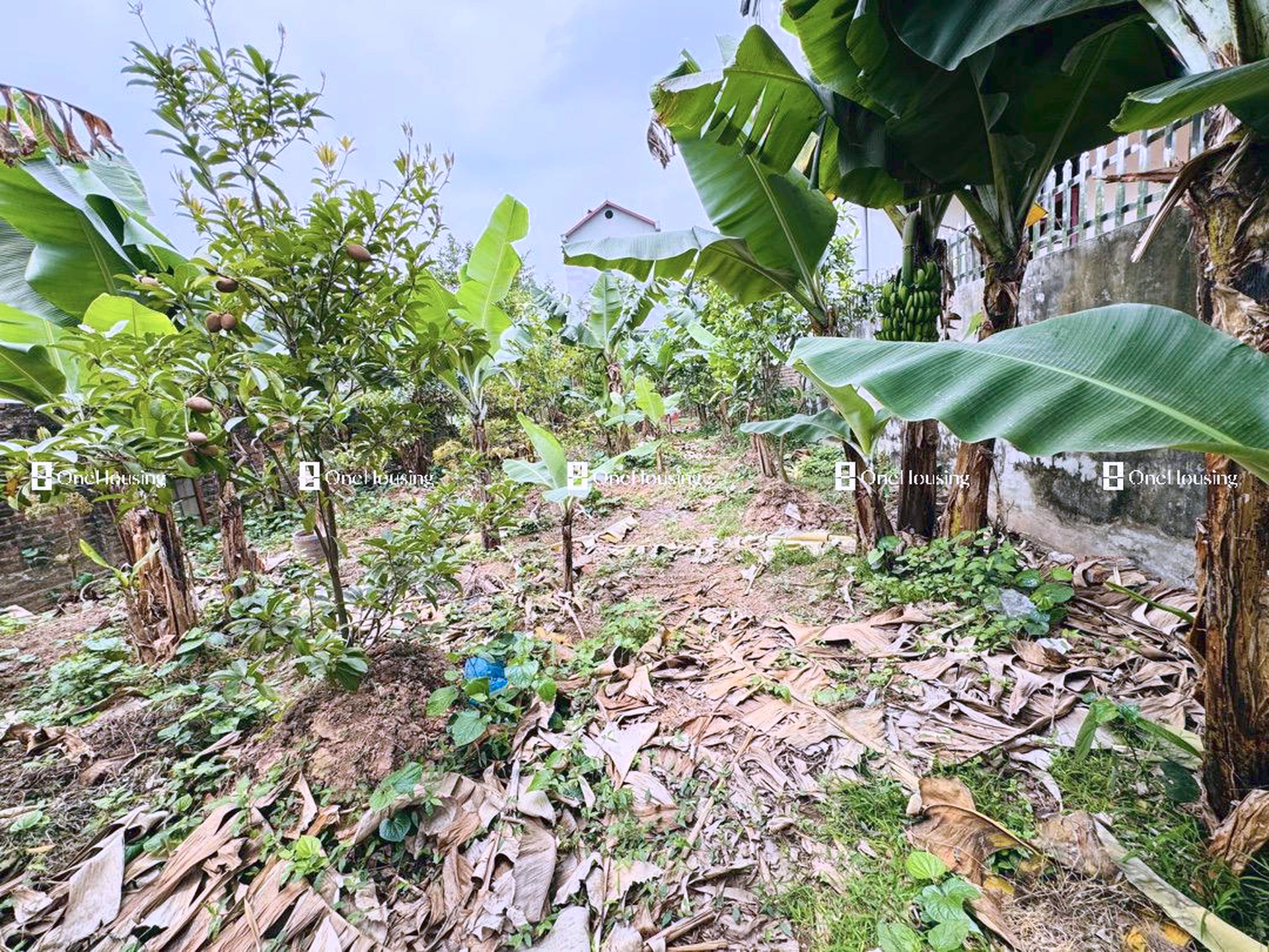 Đất nền cách Đường từ ngã ba giao cắt đường QL3 qua khu đất TĐC Bộ Công An qua UBND xã Mai Lâm đến đê sông Đuống 80m, X. Mai Lâm, H. Đông Anh, TP. Hà Nội