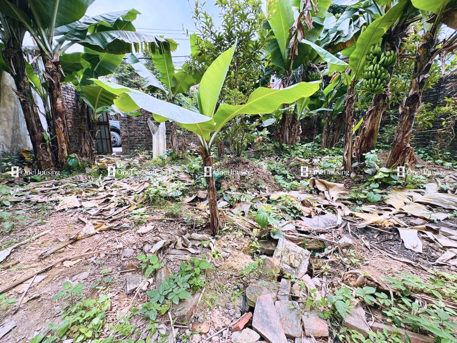 Đất nền cách Đường từ ngã ba giao cắt đường QL3 qua khu đất TĐC Bộ Công An qua UBND xã Mai Lâm đến đê sông Đuống 80m, X. Mai Lâm, H. Đông Anh, TP. Hà Nội