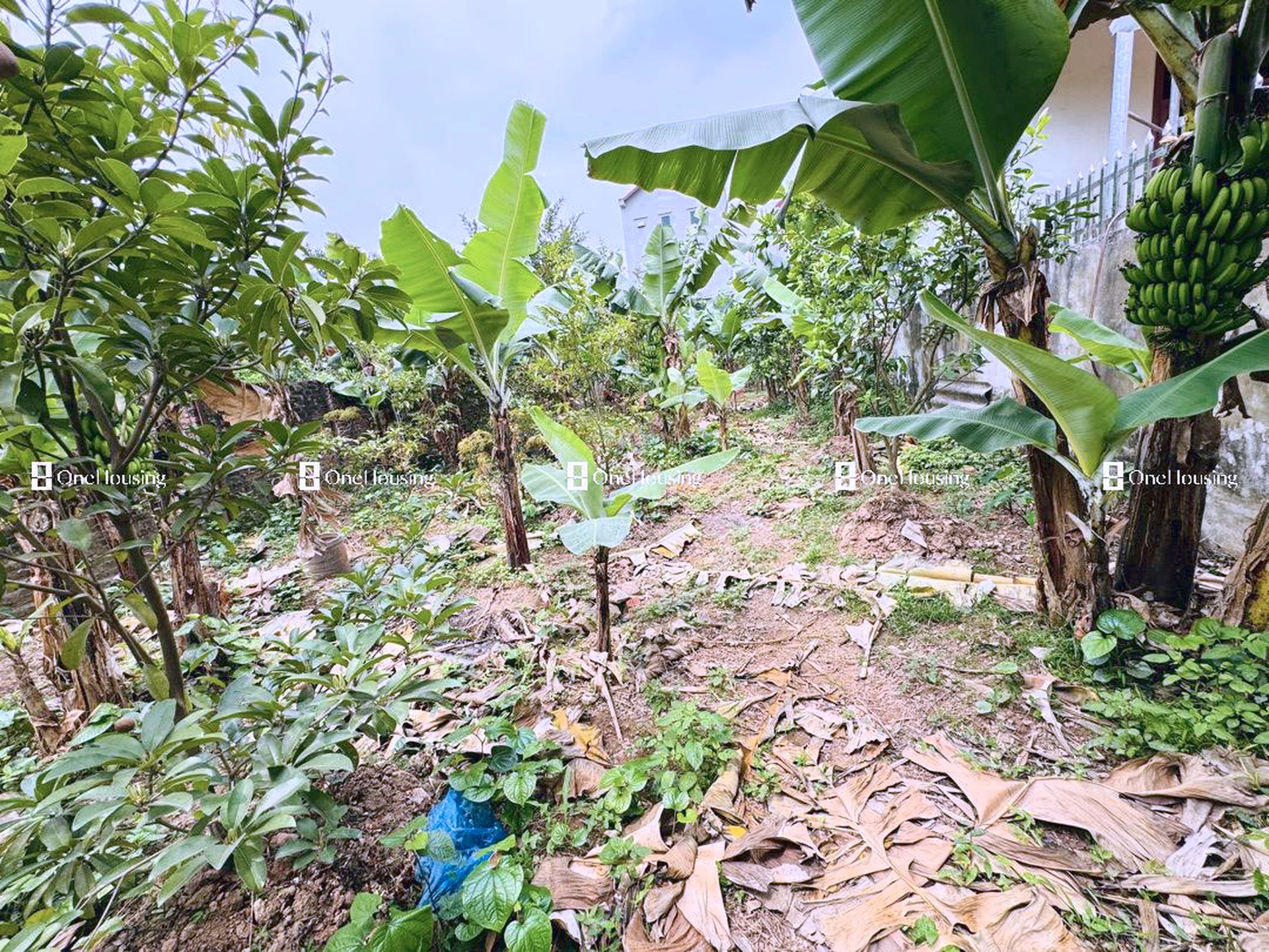 Đất nền cách Đường từ ngã ba giao cắt đường QL3 qua khu đất TĐC Bộ Công An qua UBND xã Mai Lâm đến đê sông Đuống 80m, X. Mai Lâm, H. Đông Anh, TP. Hà Nội