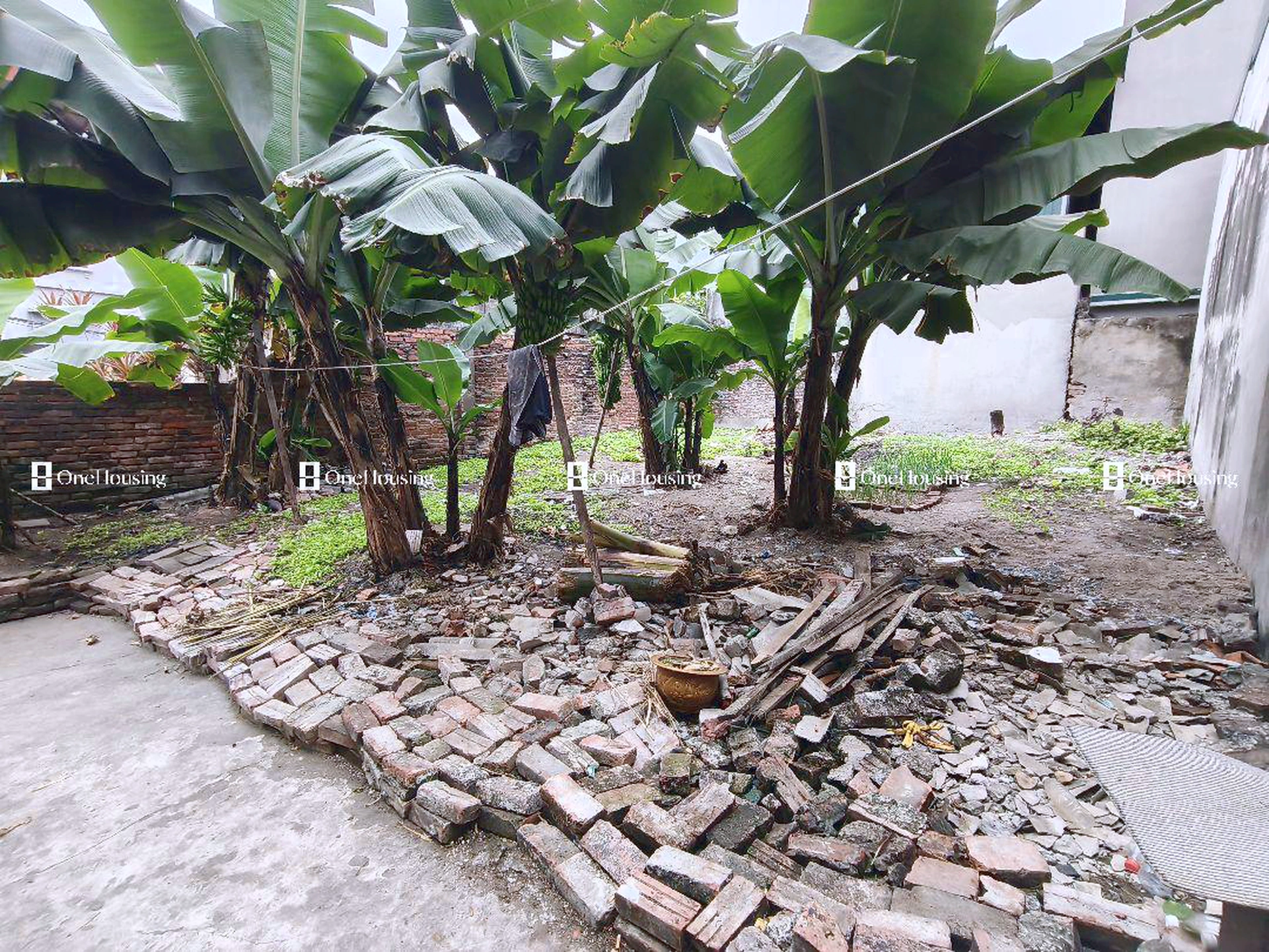 Đất nền cách Nguyễn Văn Linh 100m, P. Thạch Bàn, Q. Long Biên, TP. Hà Nội