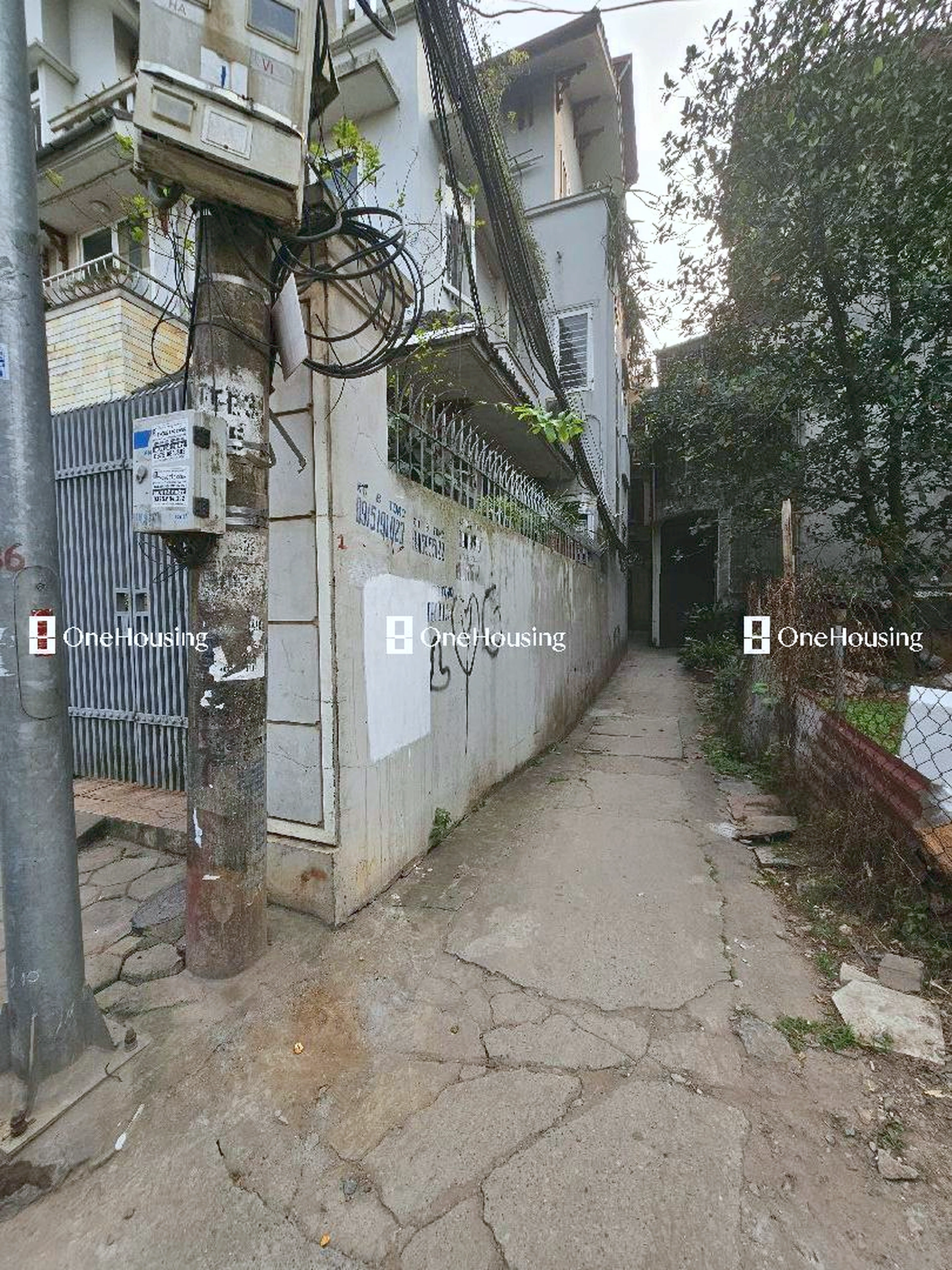 Nhà mặt ngõ cách Đê Quai 20m, P. Tứ Liên, Q. Tây Hồ, TP. Hà Nội