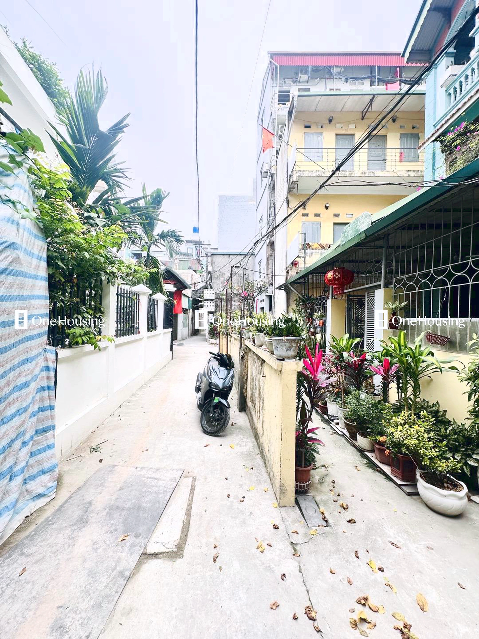 Nhà mặt ngõ cách Đường Xuân Phương 100m, P. Phương Canh, Q. Nam Từ Liêm, TP. Hà Nội