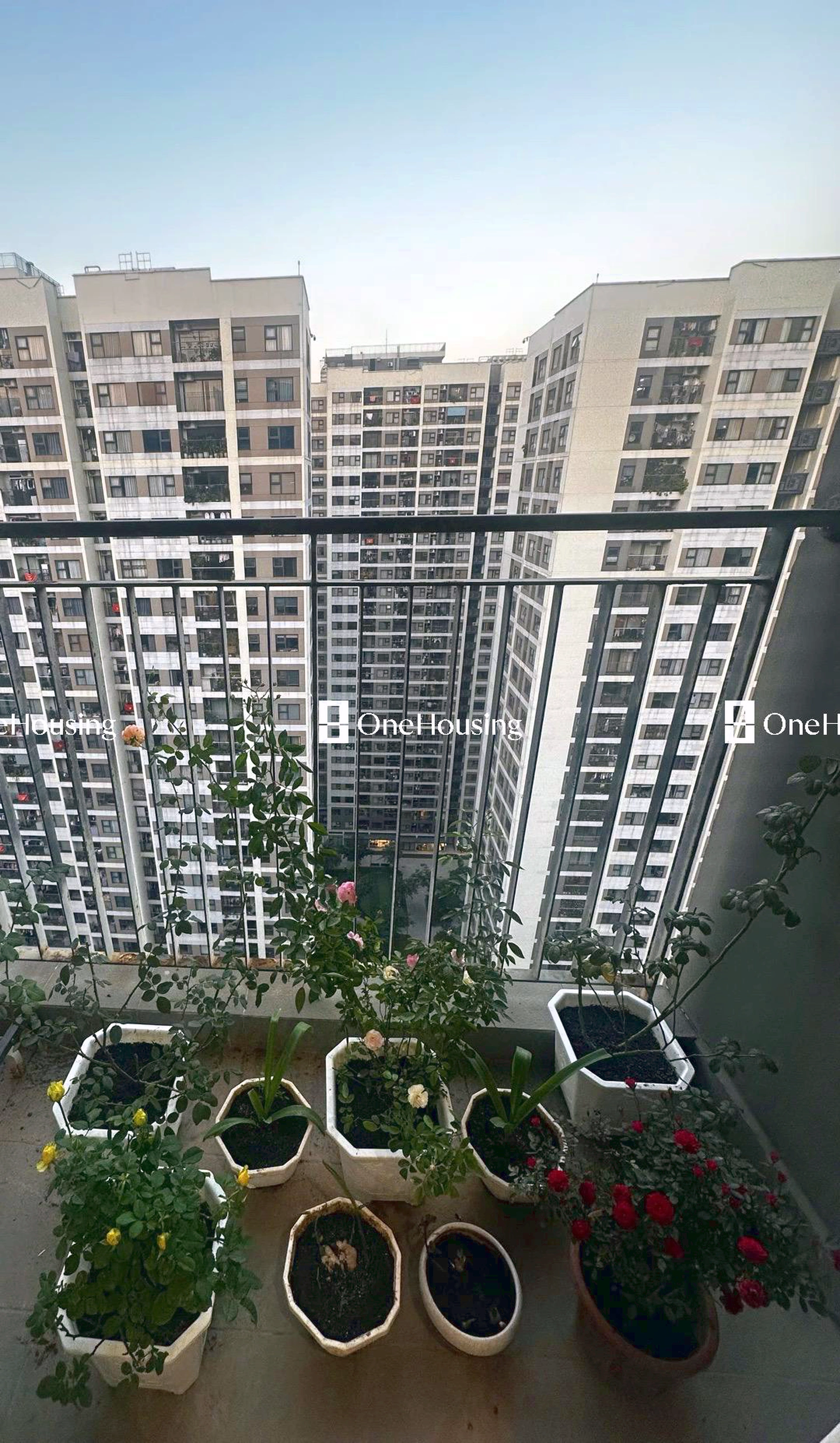 Căn 2PN toà S2.08 - The Sapphire - Vinhomes Ocean Park